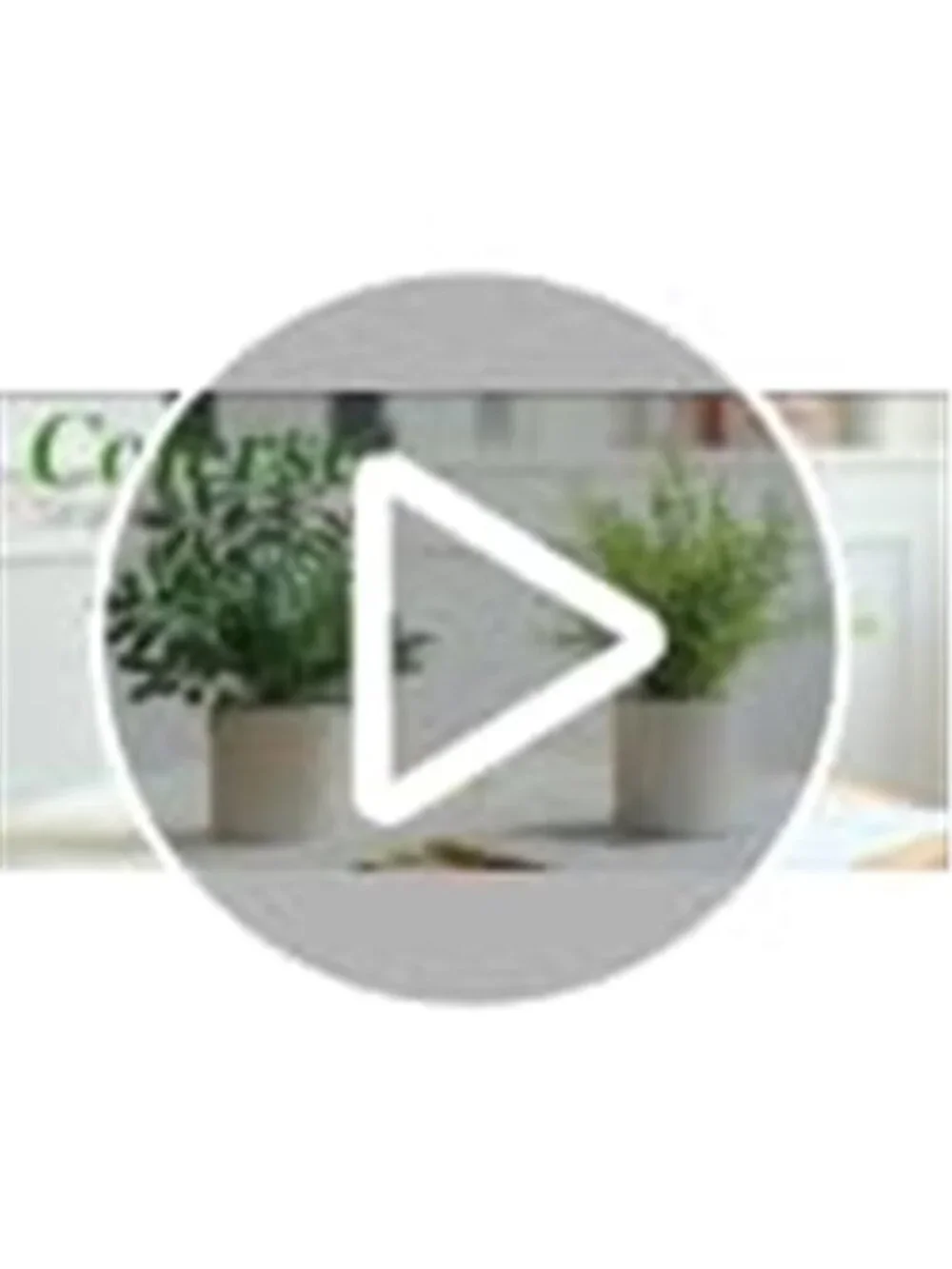 2 Pack Small Fake Plants Eucalyptus Potted,Black